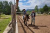 В Дивногорске откроют конную школу волонтеров